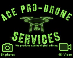 Ace Pro-Drone Services