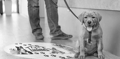 Durable Vinyl Floor Graphics