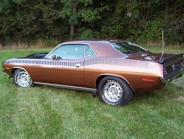 FT6 Burnt Tan Metallic