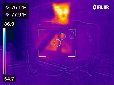 Found the family cat