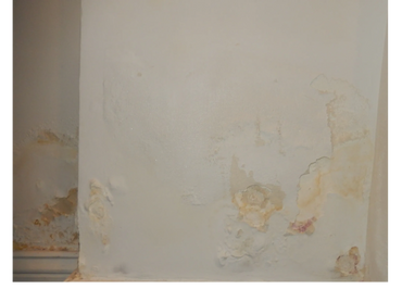 water damage found in a basement