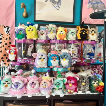 A colorful collection of Furby toys displayed on a shelf against a teal wall with framed art.