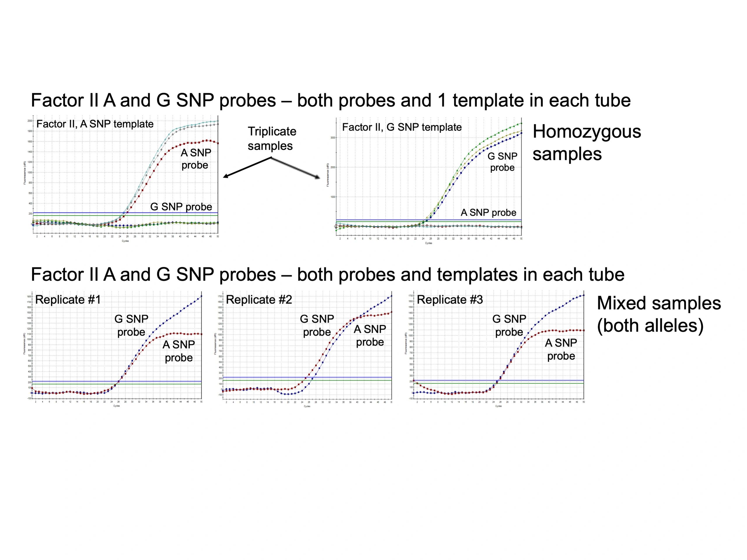 prothrombin factor ii g20210a g a snp genotyping blood clot rs1799963