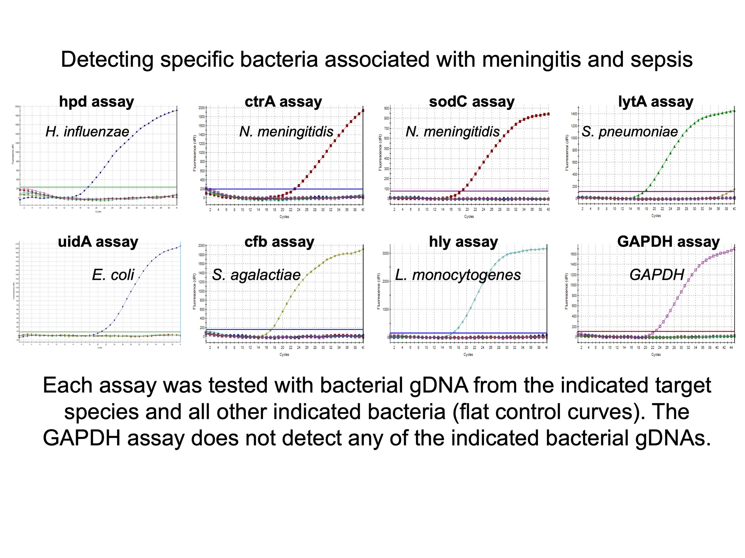 bacterial sepsis meningitis species specific marker hpd ctra sodc lyta uida cfb hly gapdh
