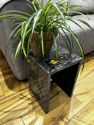 A green potted plant on a sleek black marble side table beside a gray sofa.