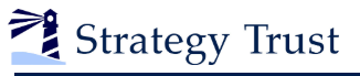 Strategy Trust Consulting