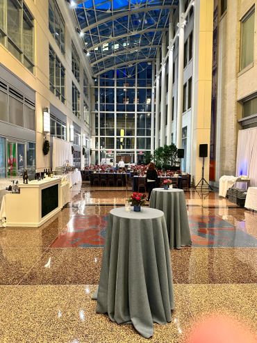 Custom Sound, Speakers, Drape