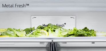 Metal Fresh™ rear panel helps retain cold and recover temperature quickly after door openings.