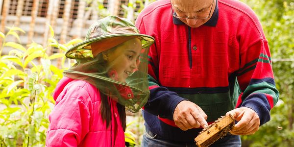 Bees in the Heart of Texas knows our future beekeepers are today’s children. We are excited to offer