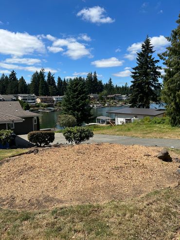 Lake Tapps stump removal Bonney Lake sumner Enumclaw south prairie auburn Edgewood mulch