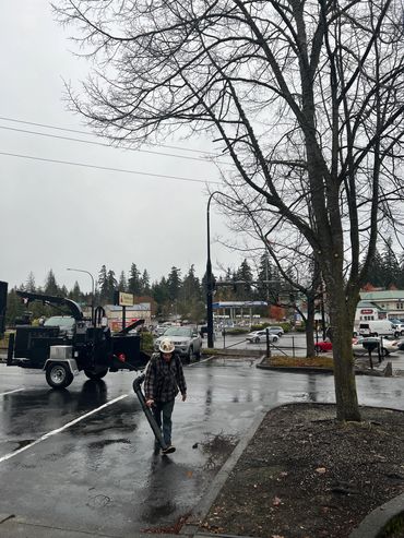 property management driveway limb removal Bonney Lake parking lot leaf blower landscaping chipper