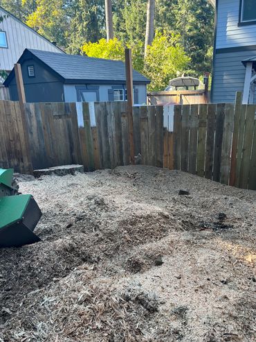 stump removal stump grinding Lake Tapps hoa big stump roots Bonney Lake sumner lake tapps
