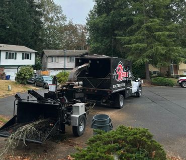 Bonney Lake Renton brush removal tree removal sumner Enumclaw tree trimmer bandit chip truck cleanup