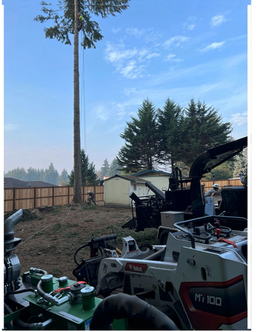 dump truck woodchips mulch chipdrop compost wanted bandit brush removal clearing chipper bandit 250