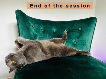 End of a counselling session, cat laying on chair.