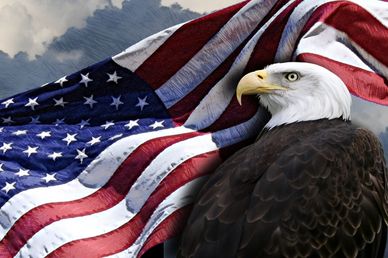 A majestic bald eagle with the American flag in the background.
