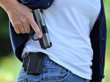 concealed carry license training