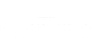 PLIU Consulting Ltd