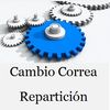 cambio correa distribución carro