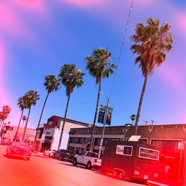 Palm trees line a sunny street with parked cars and buildings under a clear blue sky.