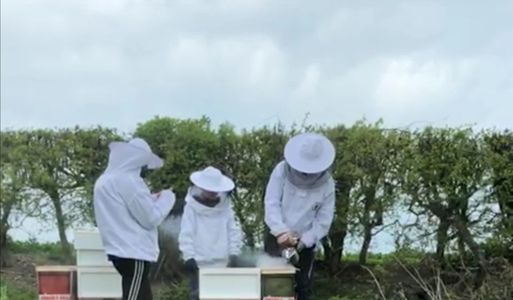 Children helping with unpacking the new honey bees at an apiary in Stokenchurch Buckinghamshire. 