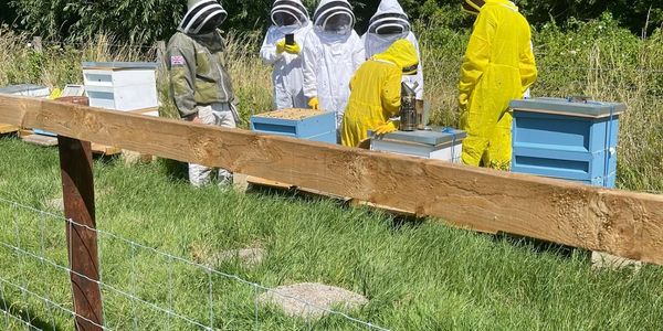 beekeeper experience day in chinnor