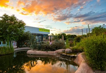 Sunset view of The Daily Grind Restaurant with pond and lush landscaping in Albuquerque.
