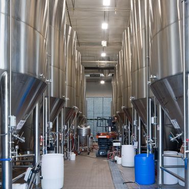 Stainless steel fermentation tanks inside Marble Brewing’s production facility.