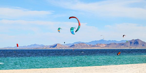 Colorful kitesurfing kites over blue ocean near sandy beach.