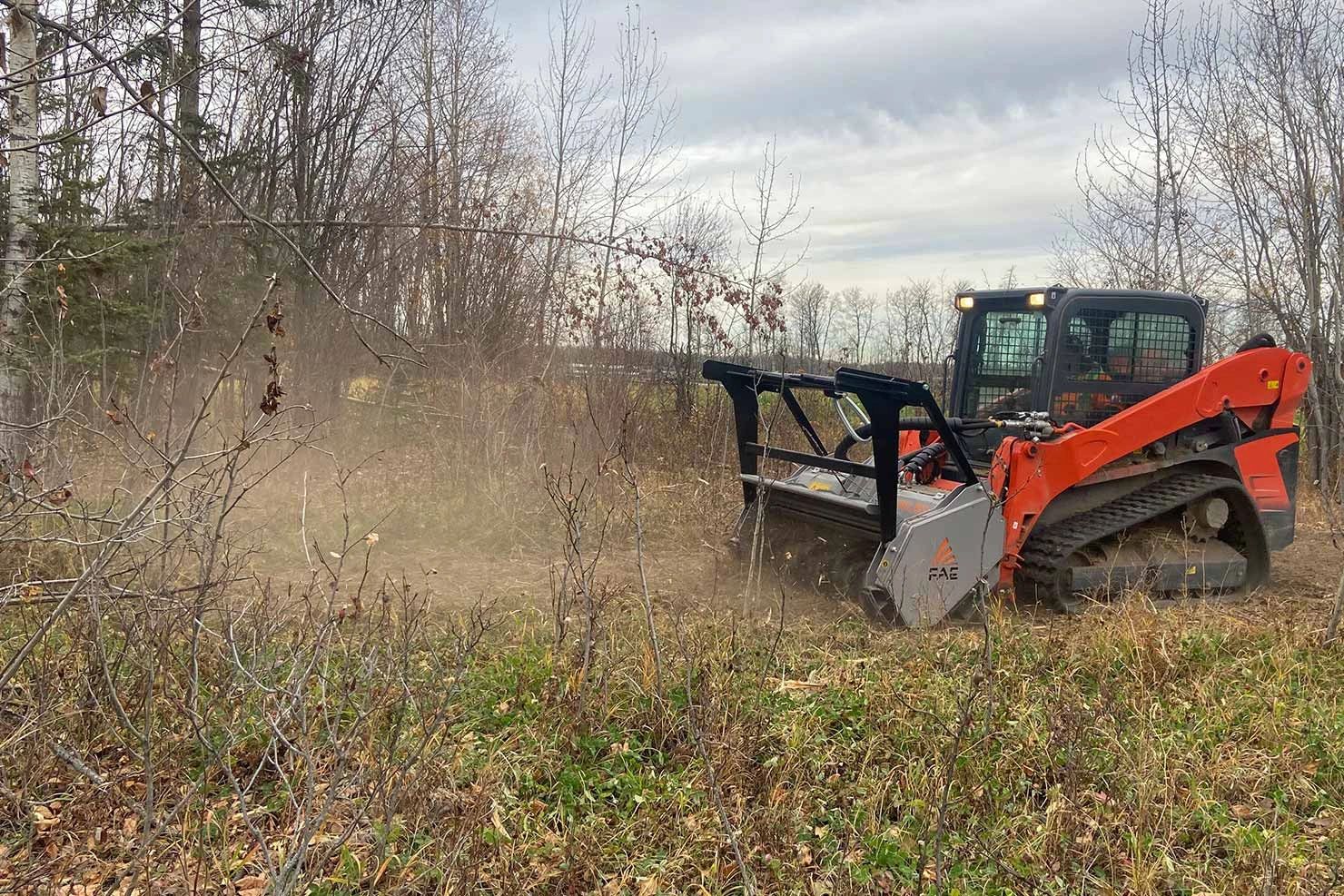 Tracked skid steer clearing brush in a forested area.