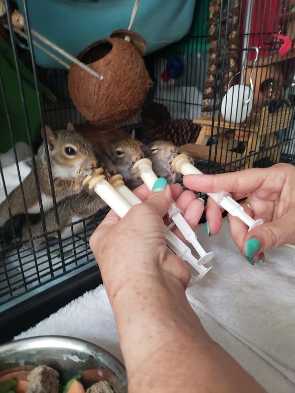 Feeding time
