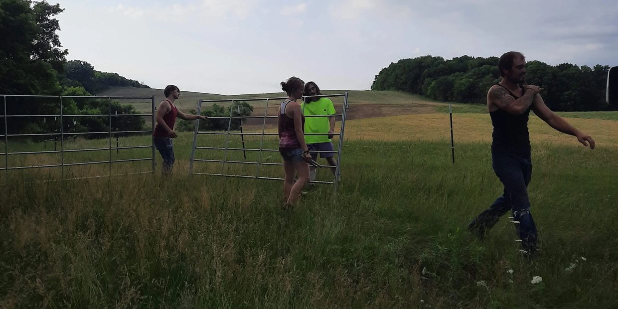 cleared the spot & setting up the new round pen - a huge thank you to our anonymous donor