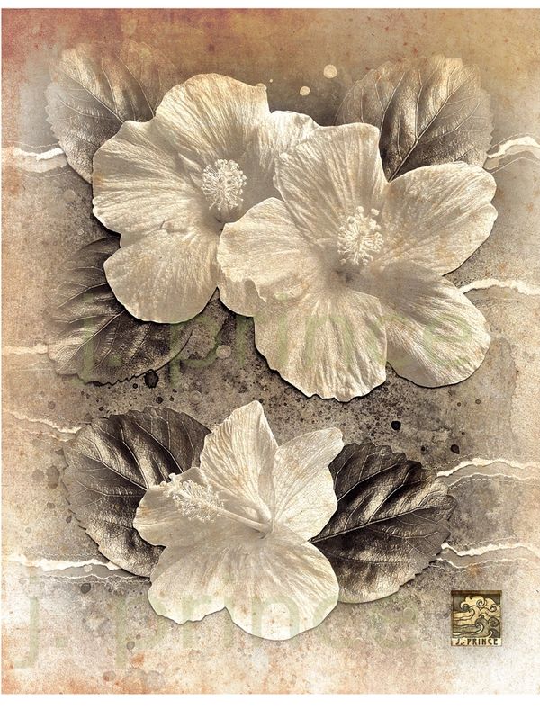Vintage Hibiscus, Artwork by Jeannette Prince