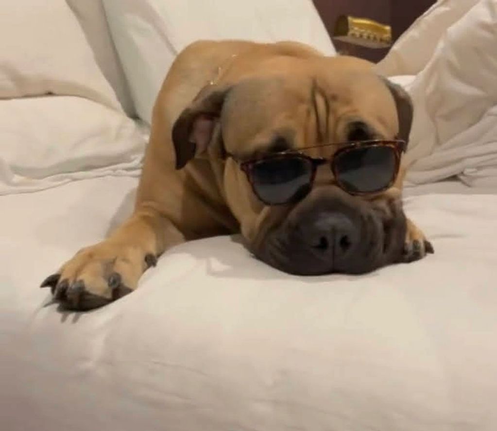 But of course they are real darlin' Do I look like a dog that wears knock-offs?