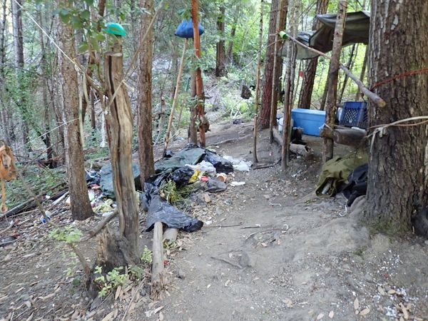 Shelter in the woods