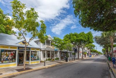 Sunny day on a quiet street lined with small shops and trees.