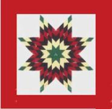 OFFICIAL SITE Diane's Native American Star Quilts.  https://www.dianesnativeamericanstarquilts.net