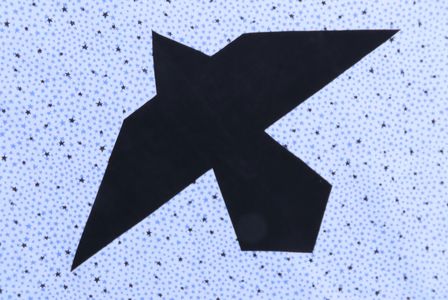 Diane's Native American Design Patterns
www.dianesnativeamericanstarquilts.net