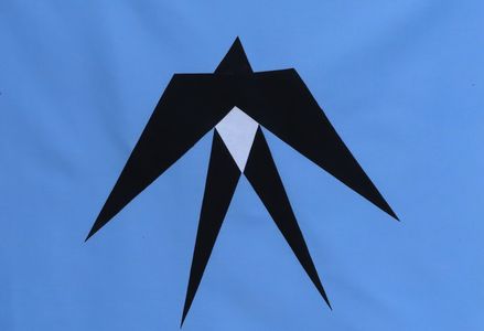 Diane's Native American Design Patterns
www.dianesnativeamericanstarquilts.net