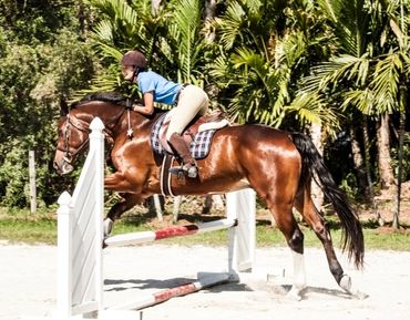 Jumping lesson taking place in the outdoor riding arena at Johnson Folly Horse Farm, featuring a rid