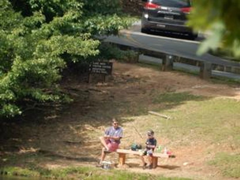 Two people fishing by a small pond near a road.