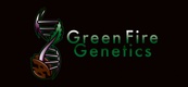 greenfiregenetics