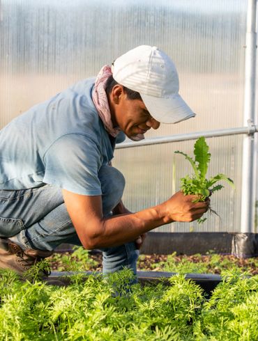 Cottingham Farm in Talbot County, MD - photo by Jill Jasuta