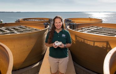 Horn Point Lab Oyster Hatchery - destination and heritage photos by Jill Jasuta