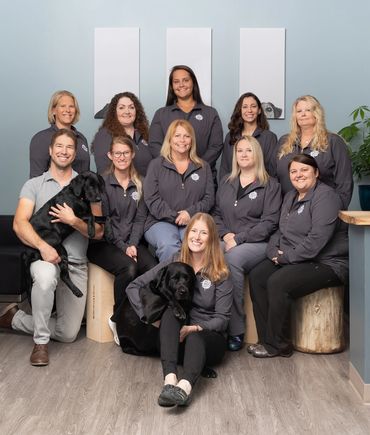 Staff photo at East Coast Vets in Easton, Maryland - photo by Jill Jasuta