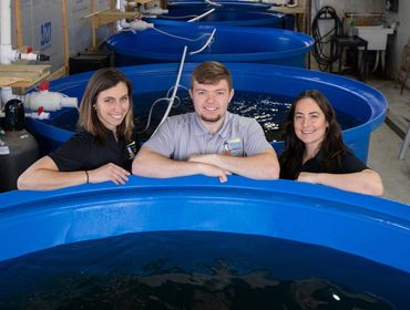 Hoopers Island Oyster Co. - business in Cambridge, MD - photo by Jill Jasuta