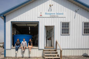 Hoopers Island Oyster Co. - business in Cambridge, MD - photo by Jill Jasuta