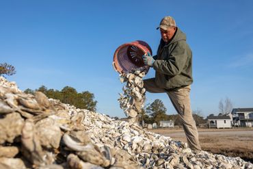 Hoopers Island Oyster Co. - business in Cambridge, MD - photo by Jill Jasuta