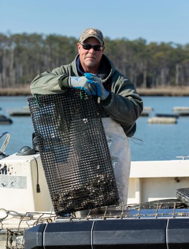 Hoopers Island Oyster Co. - business in Cambridge, MD - photo by Jill Jasuta