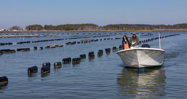Hoopers Island Oyster Co. - business in Cambridge, MD - photo by Jill Jasuta